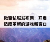 微变私服发布网：开启适度革新的游戏新窗口
