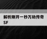 解析刚开一秒万劫传奇SF