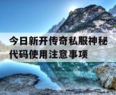 今日新开传奇私服神秘代码使用注意事项