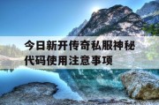 今日新开传奇私服神秘代码使用注意事项