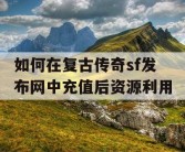 如何在复古传奇sf发布网中充值后资源利用