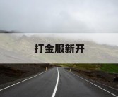 打金服新开