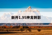 新开1.95神龙刺影