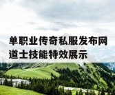 单职业传奇私服发布网道士技能特效展示