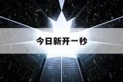 今日新开一秒