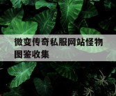 微变传奇私服网站怪物图鉴收集