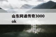山东网通传奇3000ok