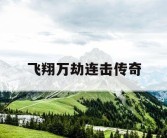 飞翔万劫连击传奇