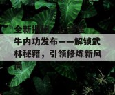 全新揭秘，1.95金牛内功发布——解锁武林秘籍，引领修炼新风尚
