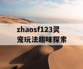 zhaosf123灵宠玩法趣味探索