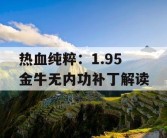 热血纯粹：1.95 金牛无内功补丁解读