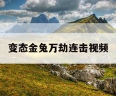变态金兔万劫连击视频