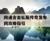 网通合击私服传奇发布网攻略指引