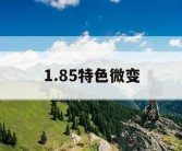1.85特色微变