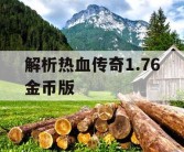 解析热血传奇1.76金币版