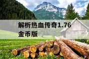解析热血传奇1.76金币版