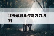 迷失单职业传奇刀刀切割