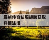 最新传奇私服翅膀获取详细途径