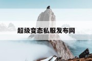 超级变态私服发布网