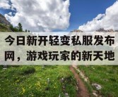 今日新开轻变私服发布网，游戏玩家的新天地