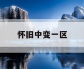 怀旧中变一区