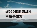 sf999找服网战斗中后手应对