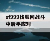 sf999找服网战斗中后手应对