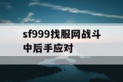 sf999找服网战斗中后手应对