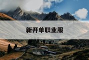 新开单职业服