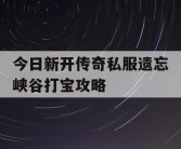 今日新开传奇私服遗忘峡谷打宝攻略