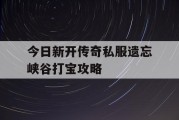 今日新开传奇私服遗忘峡谷打宝攻略