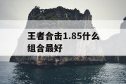 王者合击1.85什么组合最好