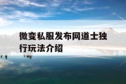 微变私服发布网道士独行玩法介绍