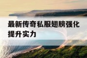 最新传奇私服翅膀强化提升实力