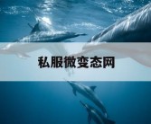 私服微变态网