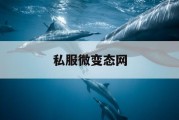 私服微变态网
