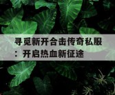 寻觅新开合击传奇私服：开启热血新征途