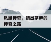 凤凰传奇，初出茅庐的传奇之路