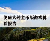 仿盛大纯金币版游戏体验报告