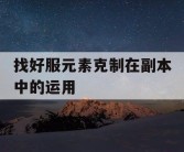 找好服元素克制在副本中的运用