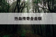 热血传奇合击版