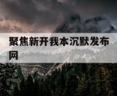 聚焦新开我本沉默发布网