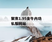聚焦1.95金牛内功私服网站