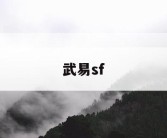 武易sf