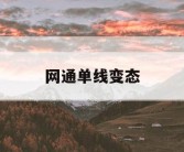 网通单线变态
