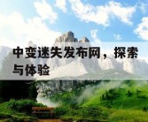 中变迷失发布网，探索与体验