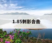 1.85刺影合击