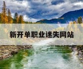 新开单职业迷失网站