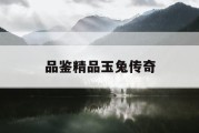 品鉴精品玉兔传奇