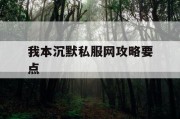 我本沉默私服网攻略要点